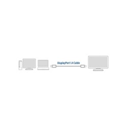 ACT AC4071 DisplayPort kabel 1 m Zwart ACT AC4071 DisplayPort kabel 1 m Zwart