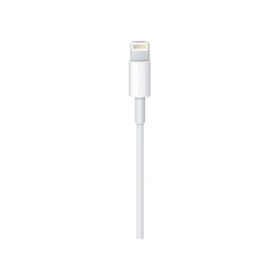 Apple Lightning - USB 2 m Wit Apple Lightning - USB 2 m Wit