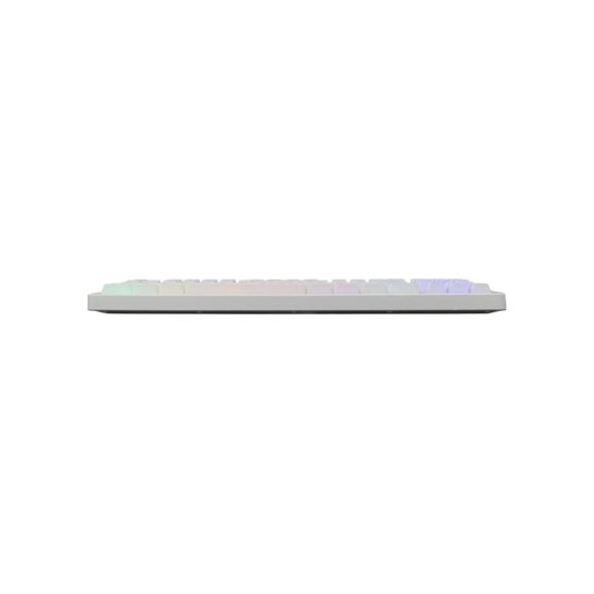 BARACUDA Keyboard KRILL White US Qwerty Rainbow Tenkeyless BARACUDA Keyboard KRILL White US Qwerty Rainbow Tenkeyless