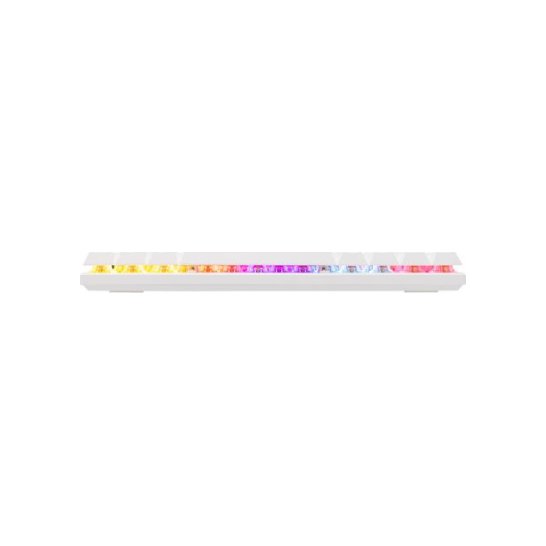 BARACUDA White Keyboard Mechanical Red 61Key 22 AntiGhosting BARACUDA White Keyboard Mechanical Red 61Key 22 AntiGhosting