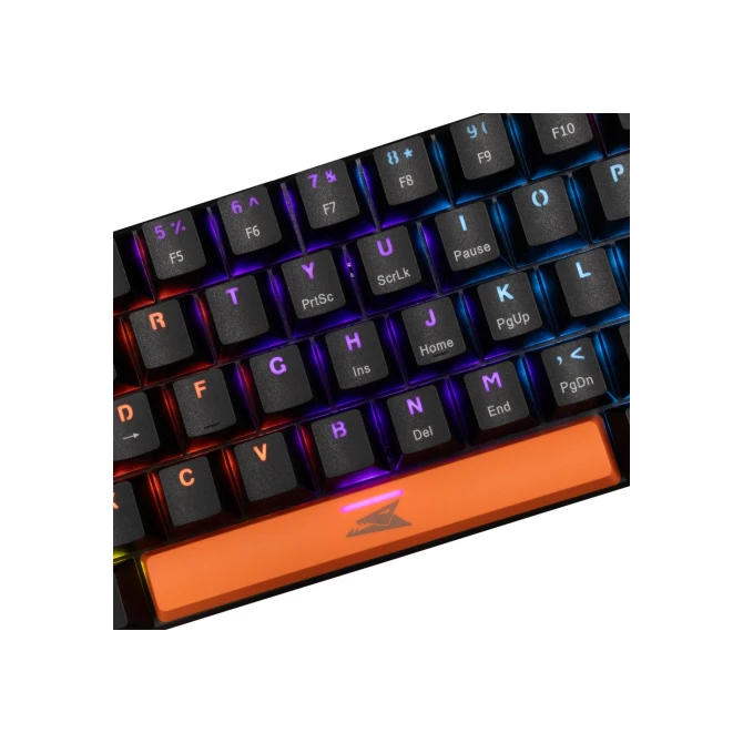 Baracuda DOLPHIN RGB 60% | Bedraad Gaming Toetsenbord | Blue Switches | Anti-Ghosting | QWERTY | Zwart