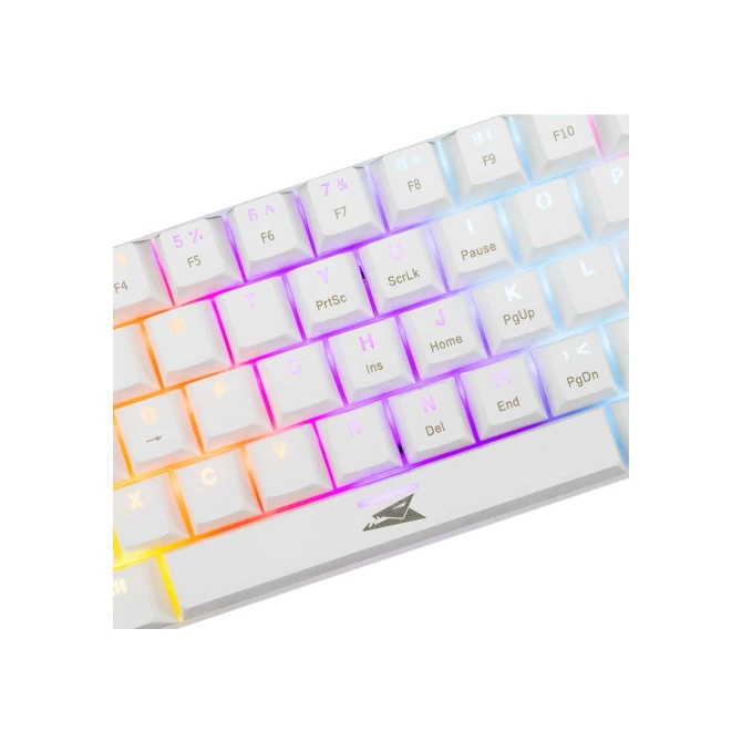 Baracuda DOLPHIN RGB 60% | Bedraad Gaming Toetsenbord | Red Switches | Anti-Ghosting | QWERTY | Wit