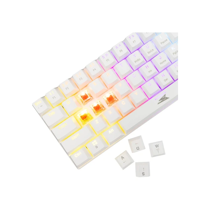 Baracuda DOLPHIN RGB 60% | Bedraad Gaming Toetsenbord | Red Switches | Anti-Ghosting | QWERTY | Wit