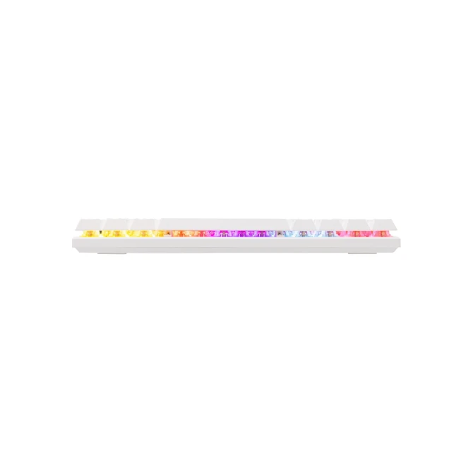 Baracuda DOLPHIN RGB 60% | Bedraad Gaming Toetsenbord | Red Switches | Anti-Ghosting | QWERTY | Wit