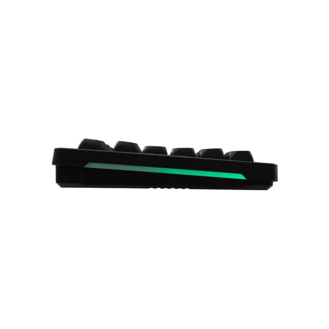 BARACUDA Keyboard + Mouse ORCA Black  LED Rainbow effect