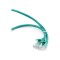 Gembird UTP Cat5E patchkabel groen 0.25 meter