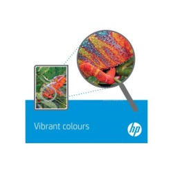 HP 304 Origineel Zwart, Cyaan, Magenta, Geel Multipack 2 stu