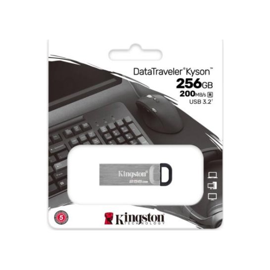 Kingston Technology DataTraveler Kyson USB flash drive 256 G Kingston Technology DataTraveler Kyson USB flash drive 256 G