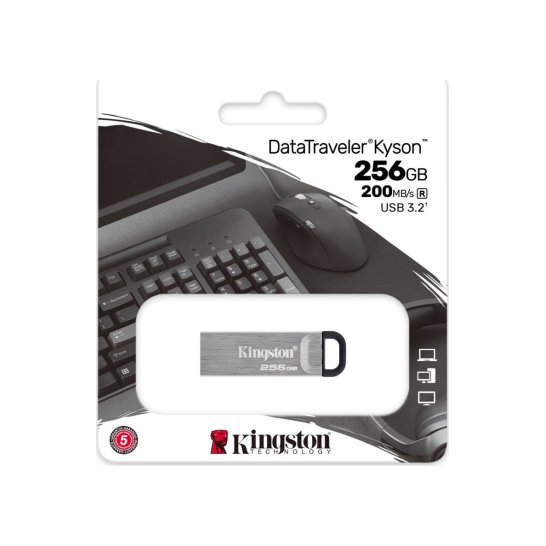 Kingston Technology DataTraveler Kyson USB flash drive 256 G