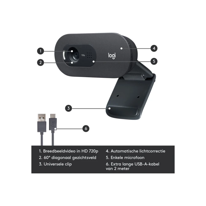 Logitech C505 HD Webcam