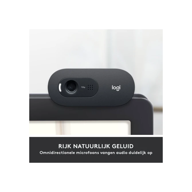 Logitech C505 HD Webcam