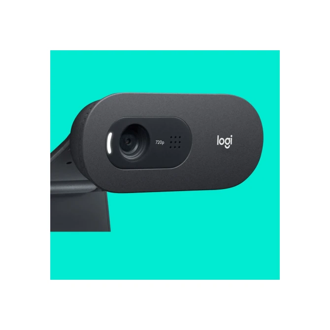Logitech C505 HD Webcam