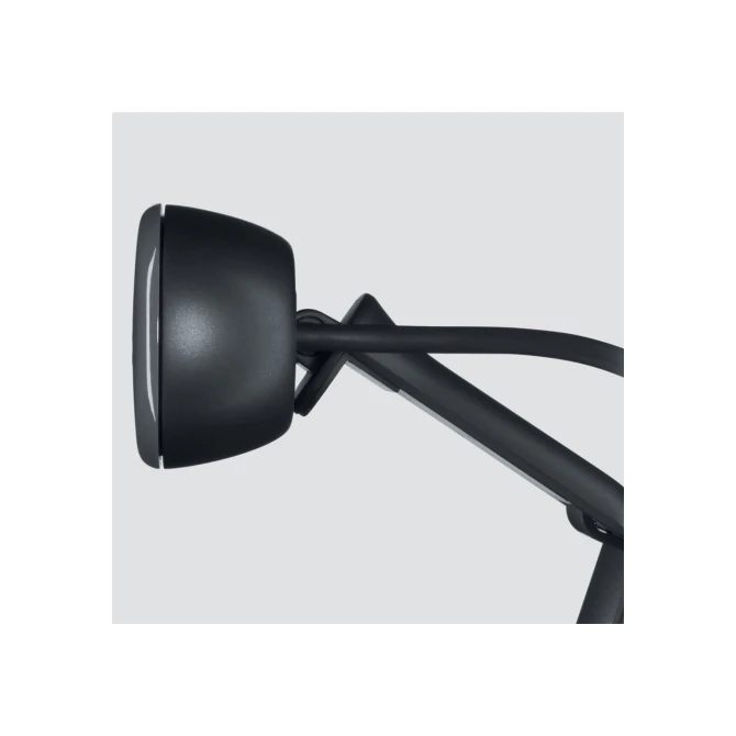 Logitech C505 HD Webcam