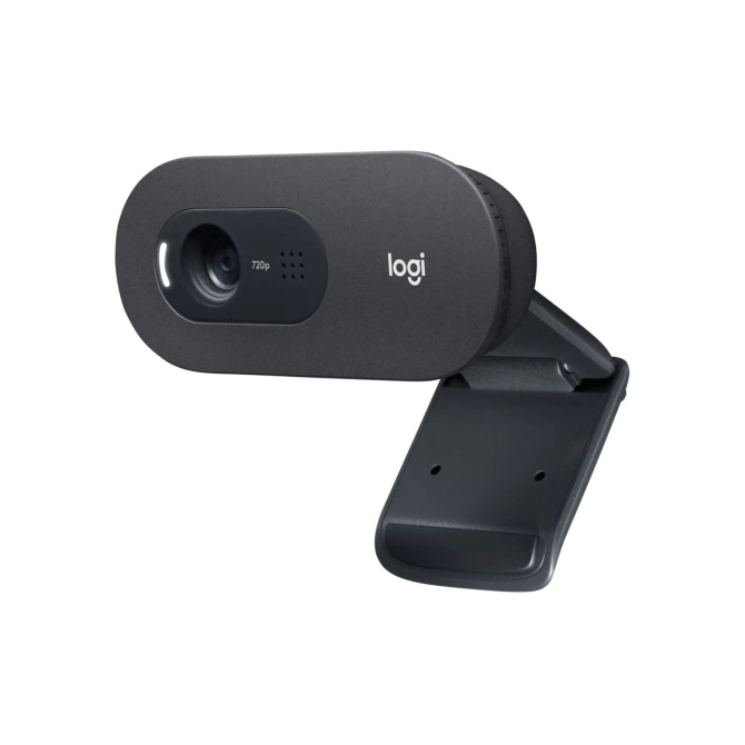 Logitech C505 HD Webcam