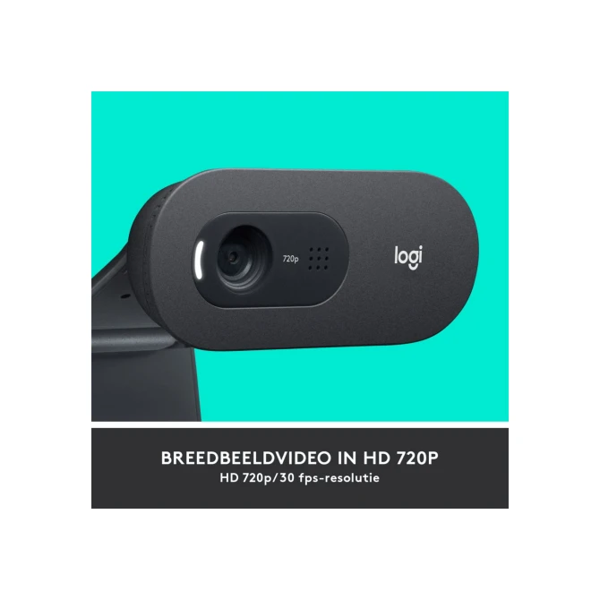 Logitech C505 HD Webcam