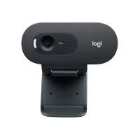 Logitech C505e webcam 1280 x 720 Pixels USB Zwart