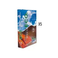 Printpapier A4 Torano White 80grams (5x500 Pack)