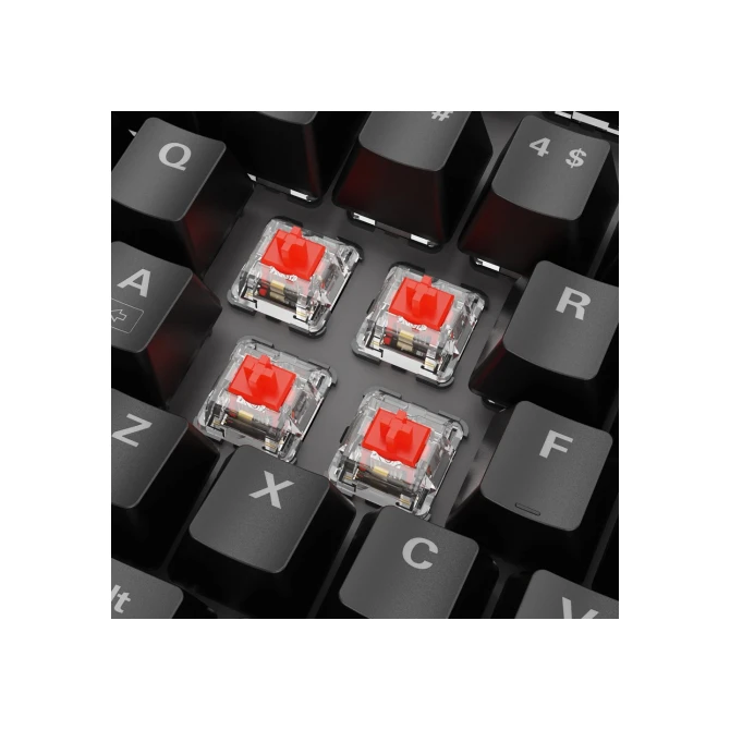 KB Sharkoon SKILLER SGK20 RGB mechanisch gaming toetsenbord