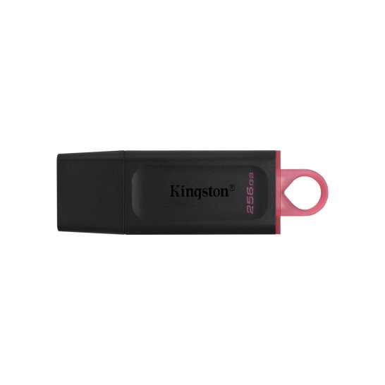 Storage Kingston DataTraveler Exodia USB flash 256 GB A 3.2