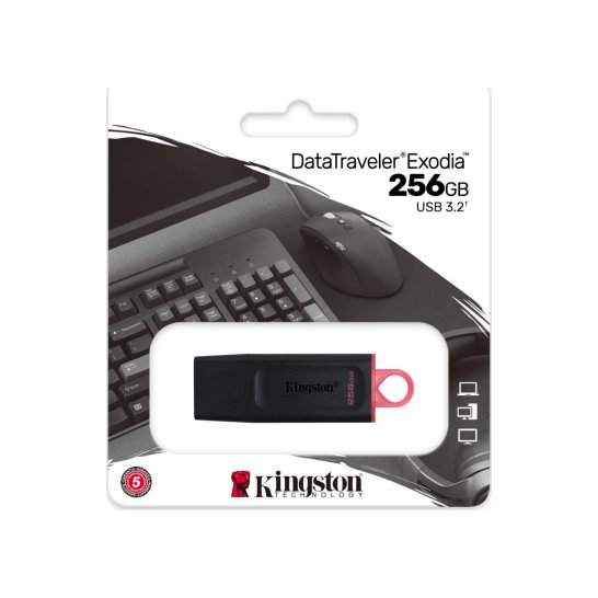 Storage Kingston DataTraveler Exodia USB flash 256 GB A 3.2